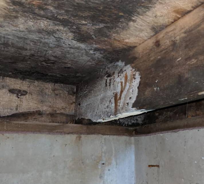 Dry Rot Repair