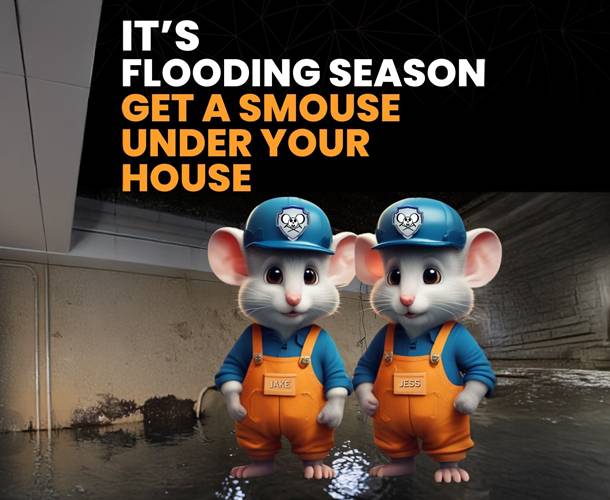 two mice wearing overalls and hats standing in a flooded room