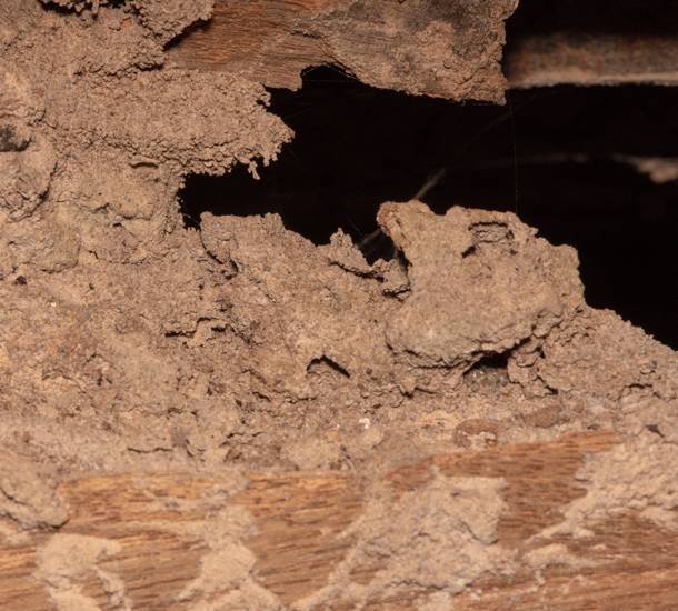 a close-up of a hole in a wood
