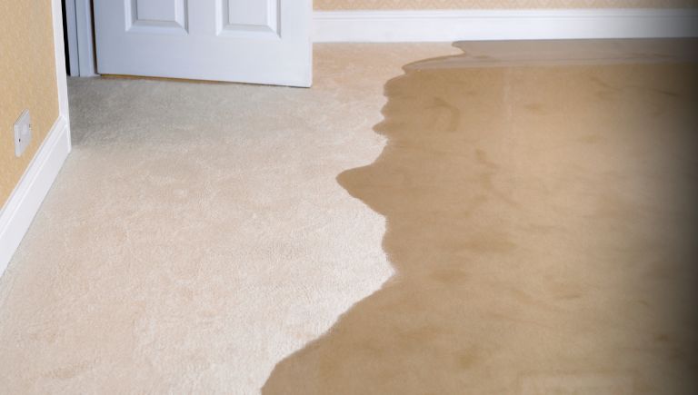 Flooded basement carpet in a Northwest Arkansas home after heavy rain